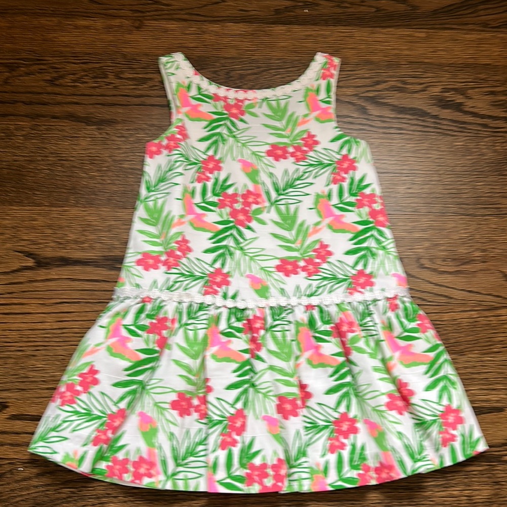 NWT Janie and Jack lined cotton dress with shantung texture and lace detail